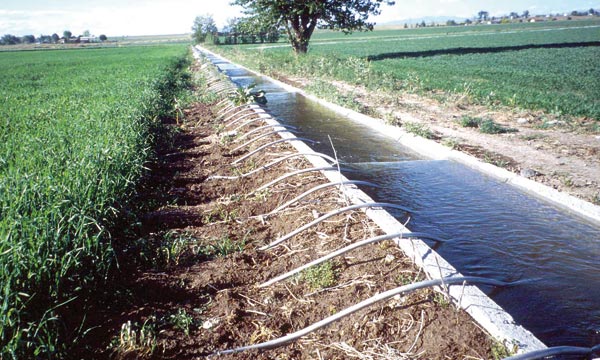 Installations des réseaux d’irrigation