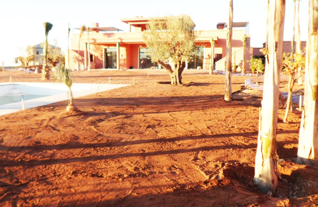 creation_jardin_terrasses
