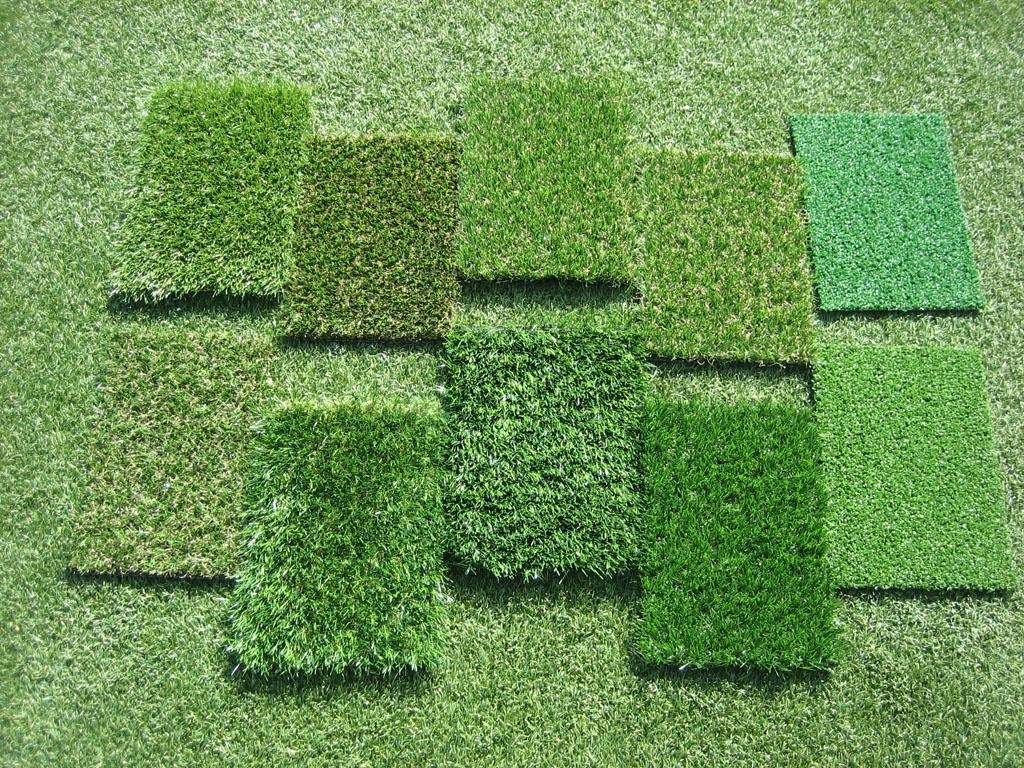 plantes_arbres_d_ornement_ou_fruitiers_et_arbustes