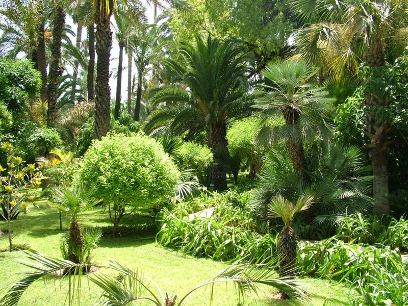 Jardin